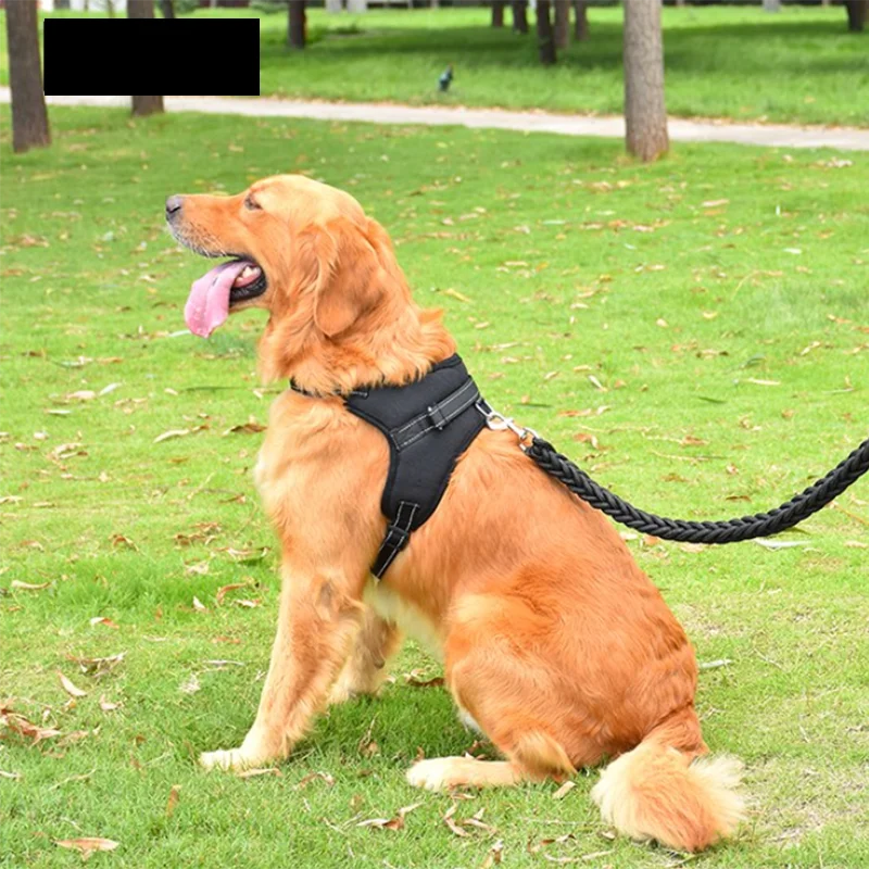 Harnais Réglable avec Laisse Réfléchissante 150 cm – Sécurité et Confort pour Chiens