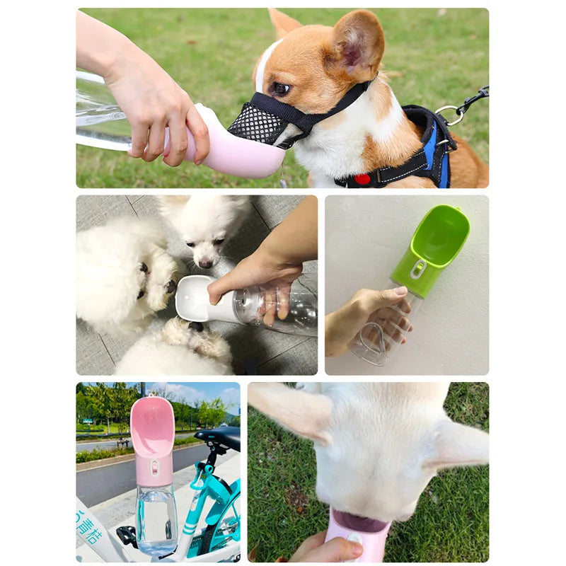 Bouteille d'eau portable pour animaux