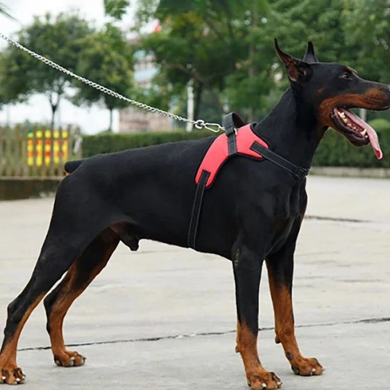 Harnais Réglable avec Laisse Réfléchissante 150 cm – Sécurité et Confort pour Chiens